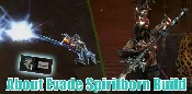 Diablo 4 Season 9 Evade Spiritborn Build Guide: You Can Level Up Fast With It! - Options Explained