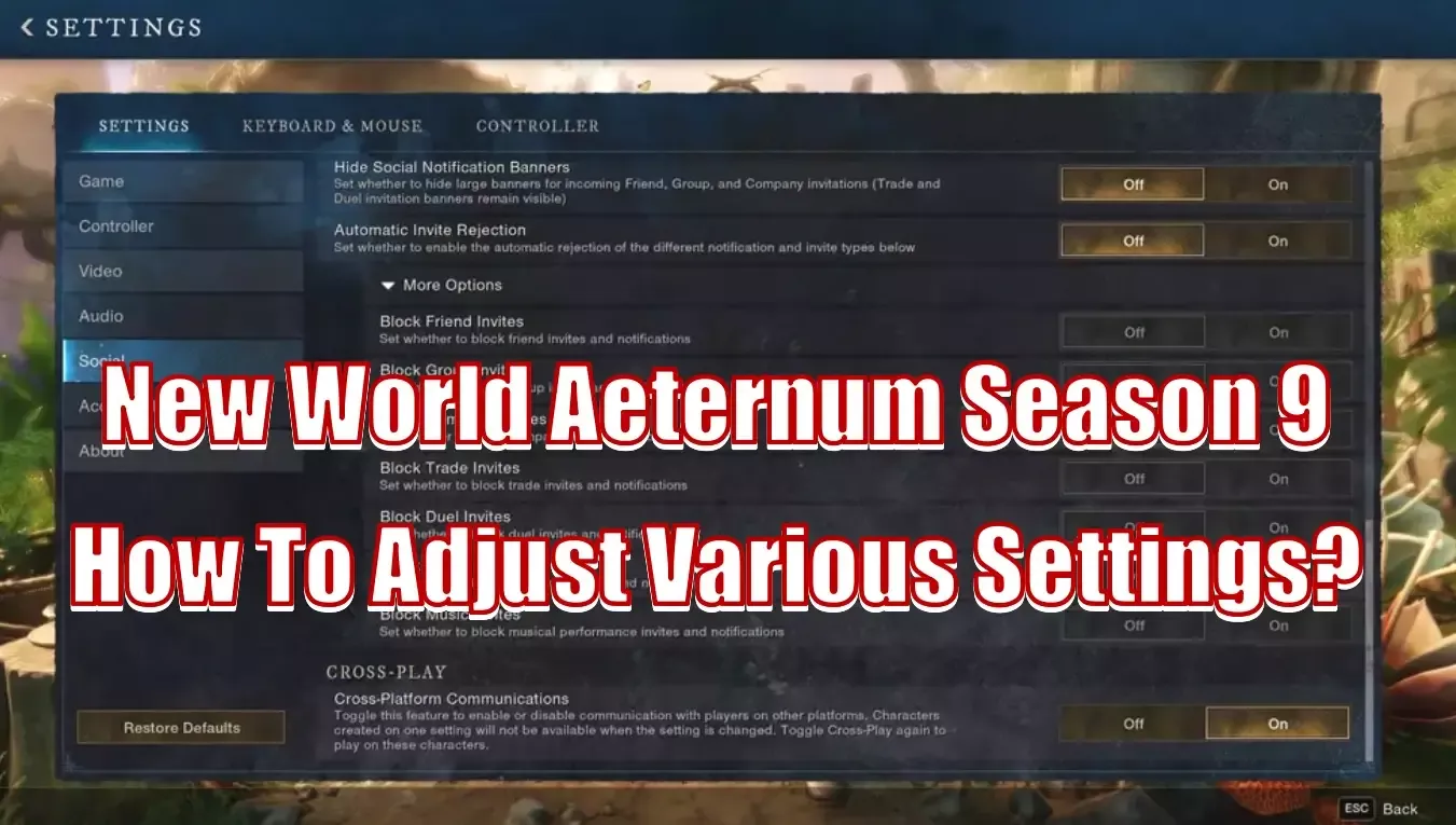 New World Aeternum Season 9 Adjusting Various Settings For More Efficient Gameplay New World Aeternum Season 9 Adjusting Various Settings For More Efficient Gameplay