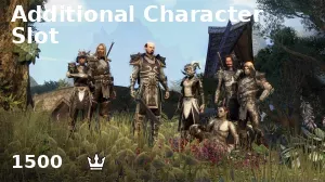 Additional Character Slot
