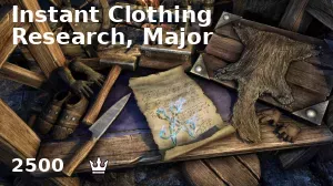 Instant Clothing Research, Major