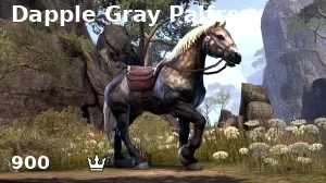 Dapple Gray Palfrey