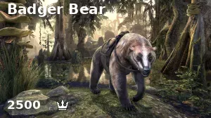 Badger Bear