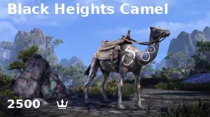 Black Heights Camel