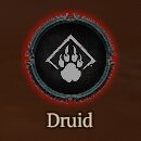 [Carry Run] Starter to Level 60+Paragon 100 : Druid