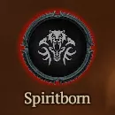 [Carry Run] Starter to Level 60+Paragon 100 : Spiritborn