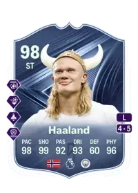 Erling Haaland