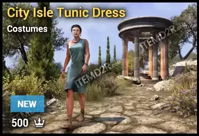 City Isle Tunic Dress